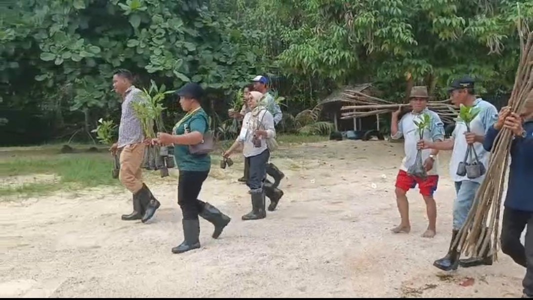 Lanjutan Sosialisasi, Peserta Ikut Kelokasi Praktek Tanam Mangrove dan Kenalkan Terumbu Karang di Kawasan Ekowisata Pandang Tak Jemu