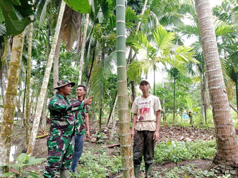 Patroli Karhutla di Wilayah Binaan Babinsa Koramil 07/Reteh Berjalan Aman dan Lancar