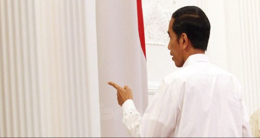 Tok Tok Tok... Inilah Lokasi Ibu Kota Baru RI Pilihan Jokowi