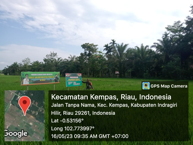 Bersihkan Gulma, Babinsa 03/Tpl Rutin Lakukan Perawatan Padi