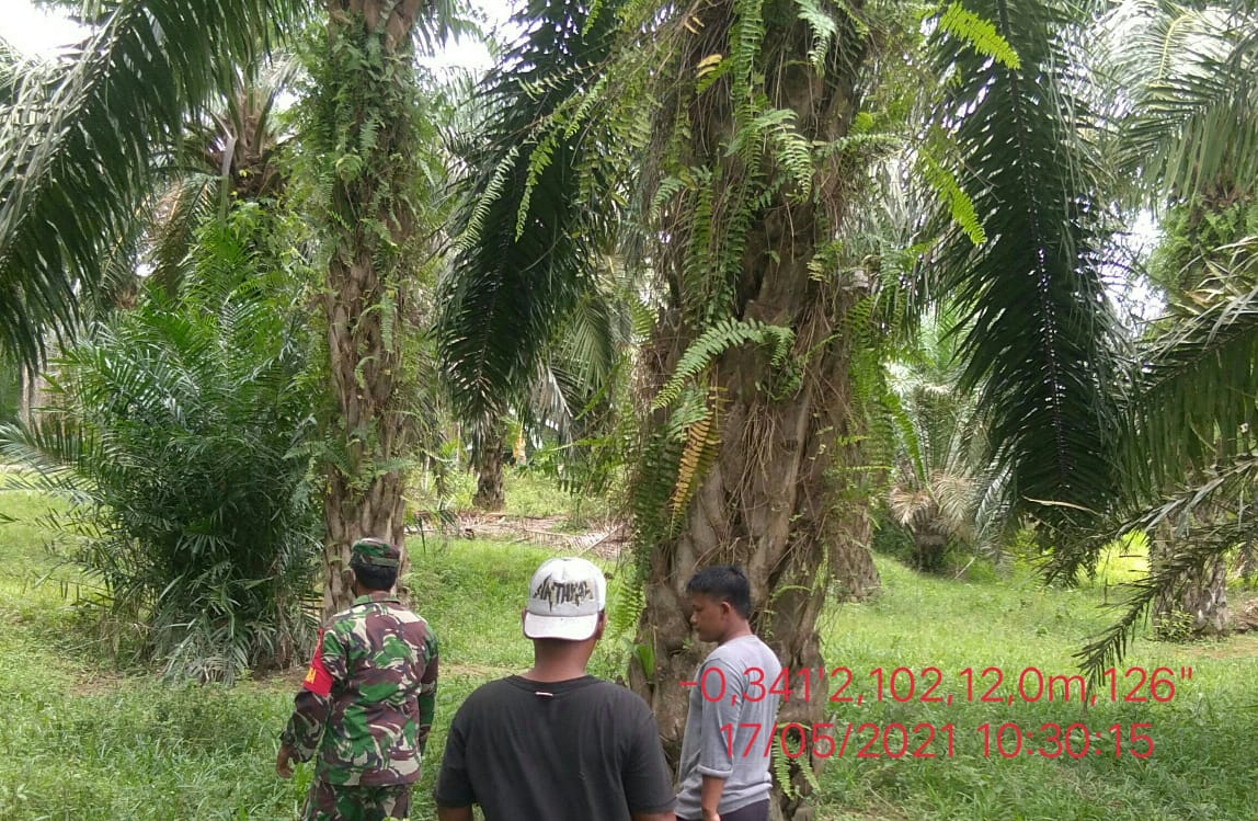 Serda Nofrijon Kembali Lakukan Patroli Karhutla di Teluk Kelasa