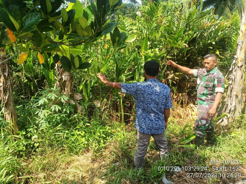 Adanya Perubahan Cuaca, Babinsa Koramil 10/Pelangiran Terus Pantau Karhutla