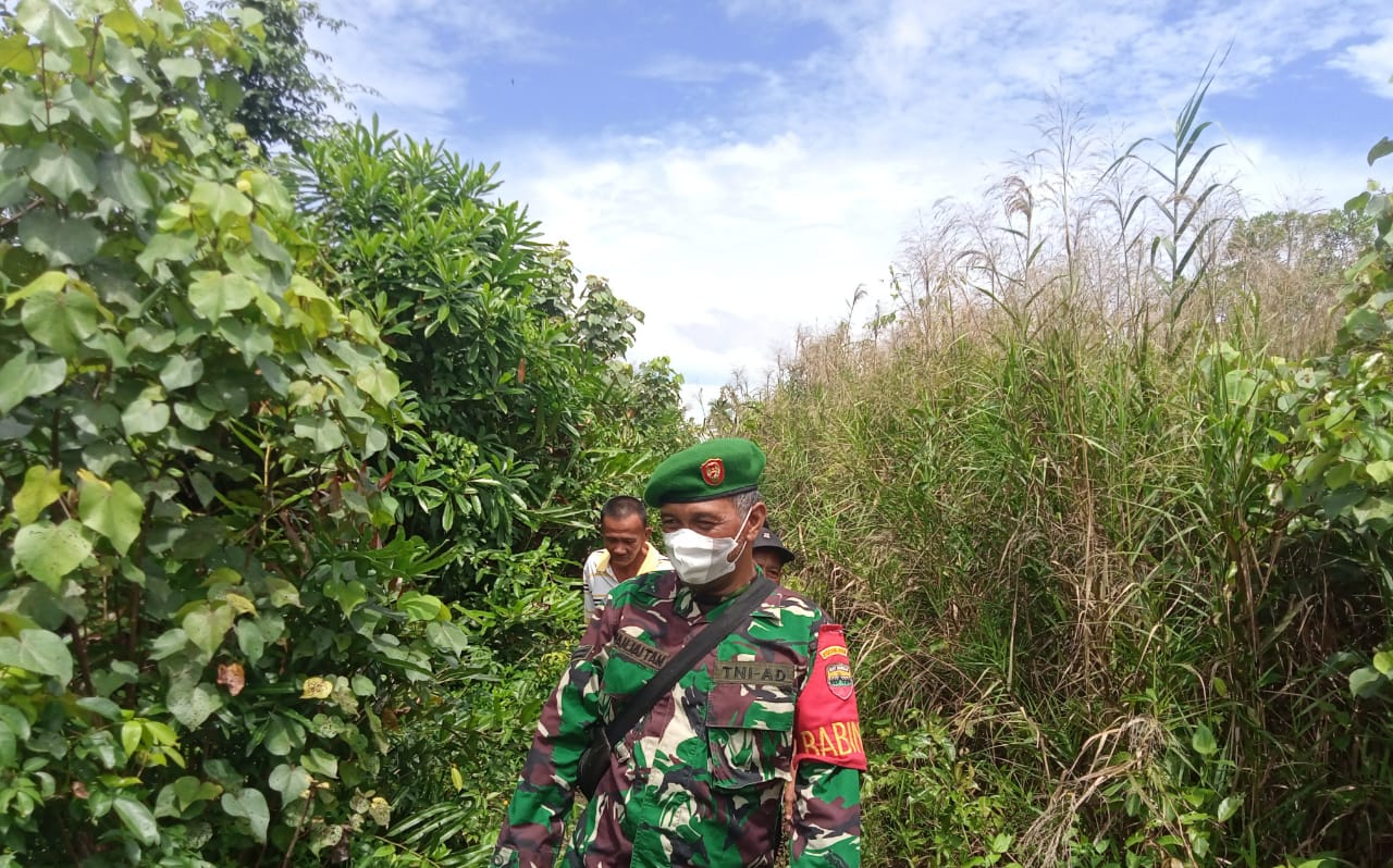 Rutin Adakan Patroli dan Sosialisasi Karhutla Oleh Babinsa Koramil 04/Kuindra