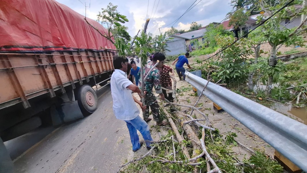 Babinsa Koramil 03/Tpl Bantu Evakuasi Pohon Tumbang Di Desa Teluk Jira