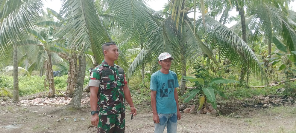 Babinsa Koramil 03/TPL Gencar Patroli Cegah Karhutla di Wilayah Tempuling