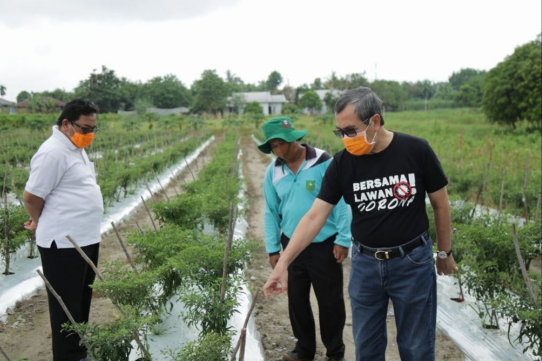 Punya Lahan Kosong, Gubernur Riau Minta Masyarakat Bercocok Tanam