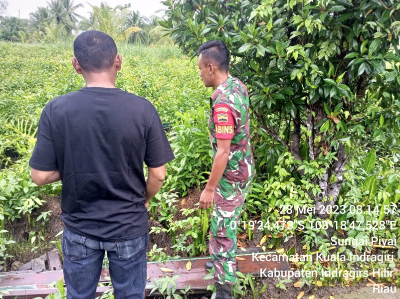 Babinsa Koramil 04/Kuindra Cegah Karhutla Dengan Cara Patroli