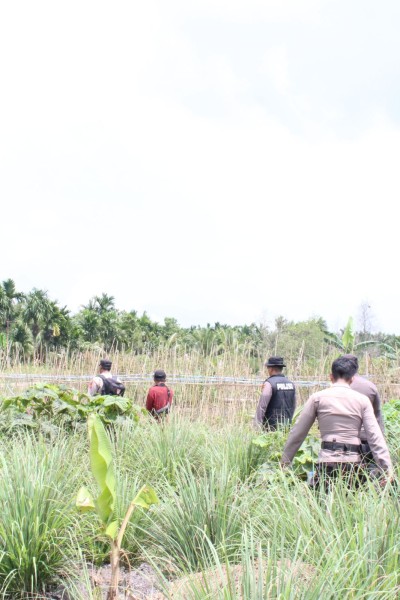 Kapolsek Tembilahan Rutin Cek Lahan Jagung Dukung Ketahanan Pangan