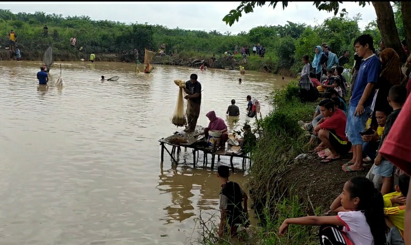 Ini Jenis Ikan Hasil Tradisi Budaya Melaro Masyarakat Desa Redang 