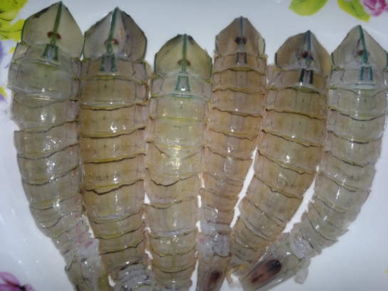 Udang Nenek Sajian Populer Di Inhil