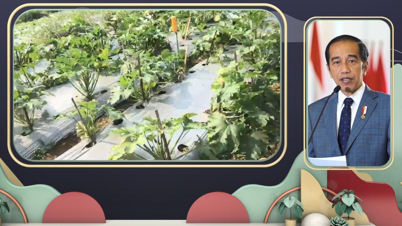 Presiden Joko Widodo: Menjadi Petani Itu Mulia