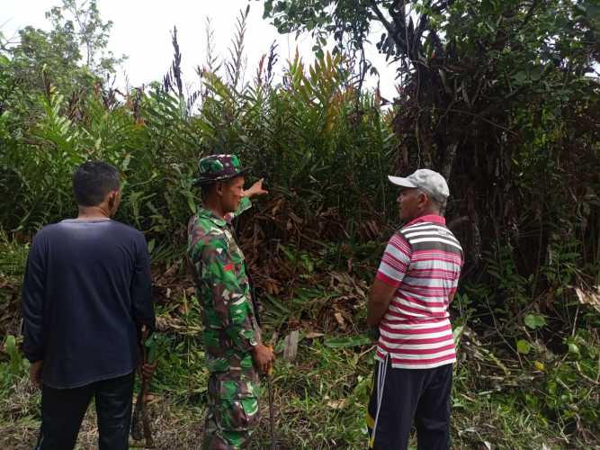 Bersama Petani, Babinsa Koramil 04/Kuindra Peduli Terhadap Karlahut