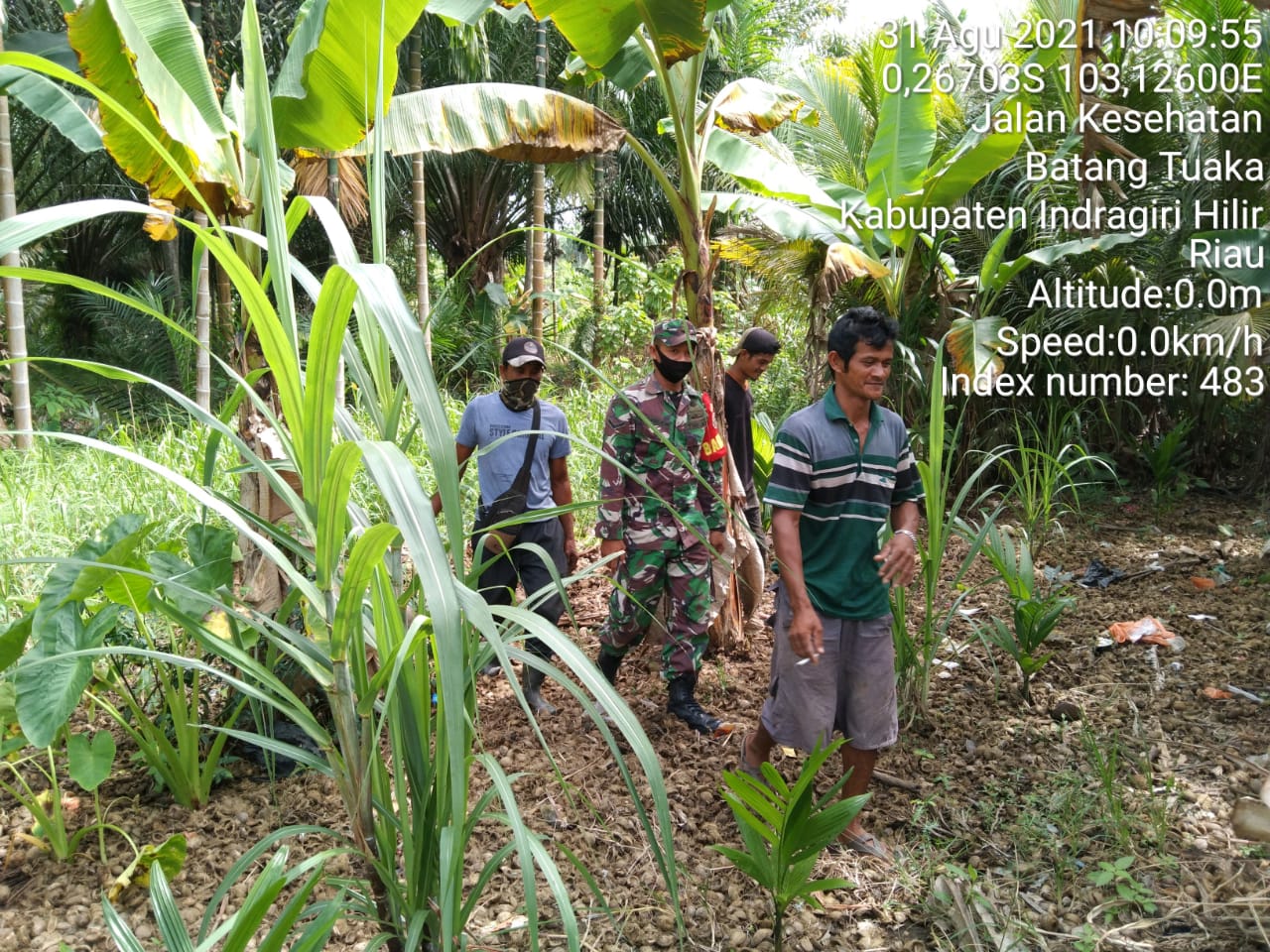 Bersama Masyarakat, Babinsa Simpang Jaya Tinjau Lokasi Rawan Kebakaran Lahan