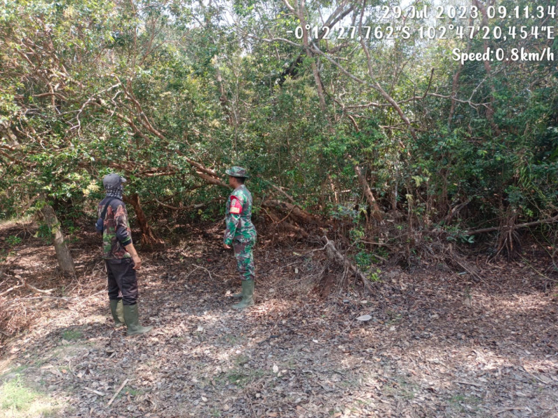 Kopda Chandra Manto Koramil 05/Gas Laksanakan Patroli Kebakaran Hutan Konsesi Mitigasi Di Kawasan PT.MSK