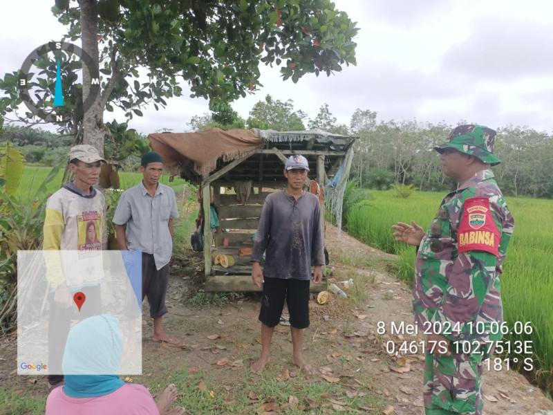 Babinsa Koramil 03/Tpl Komsos Dengan Kelompok Tani Makmur
