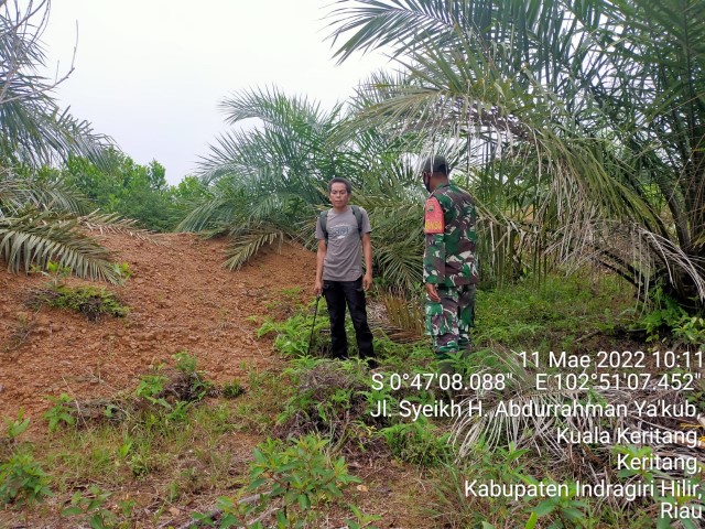 Lakukan Pencegahan Karhutla Oleh Babinsa Koramil 09/Kemuning Di Wilayah Kuala Keritang