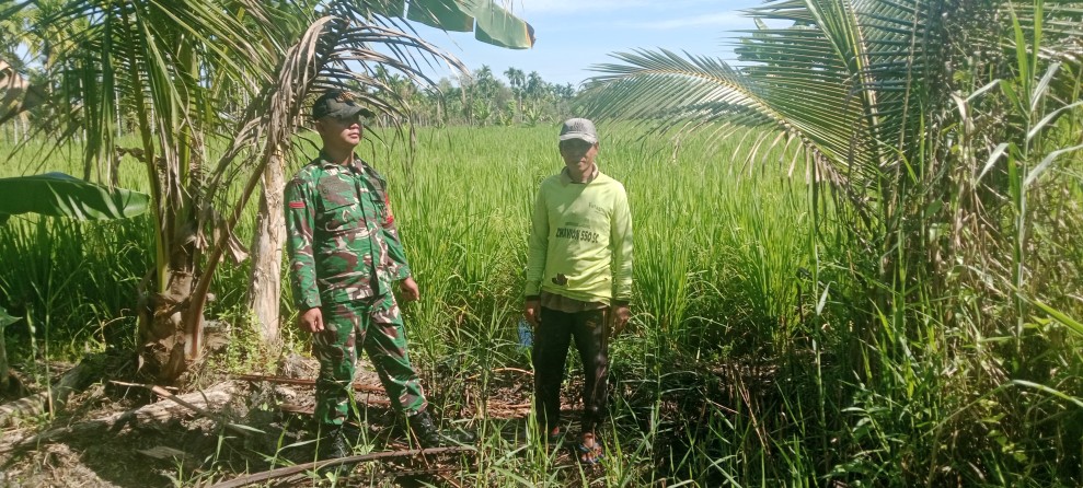 Babinsa Koramil 03/Tpl Pratu Umar Suganda Komsos Dengan Poktan di Desa Teluk Jira