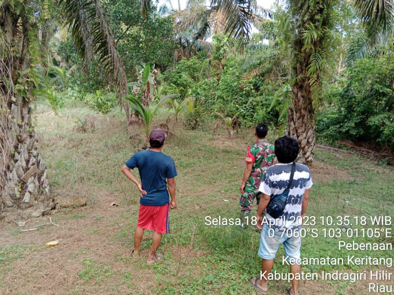 Babinsa Koramil 09/Kemuning Sampaikan Kepada Warga Untuk Tetap Jaga Hutan dan Lahan