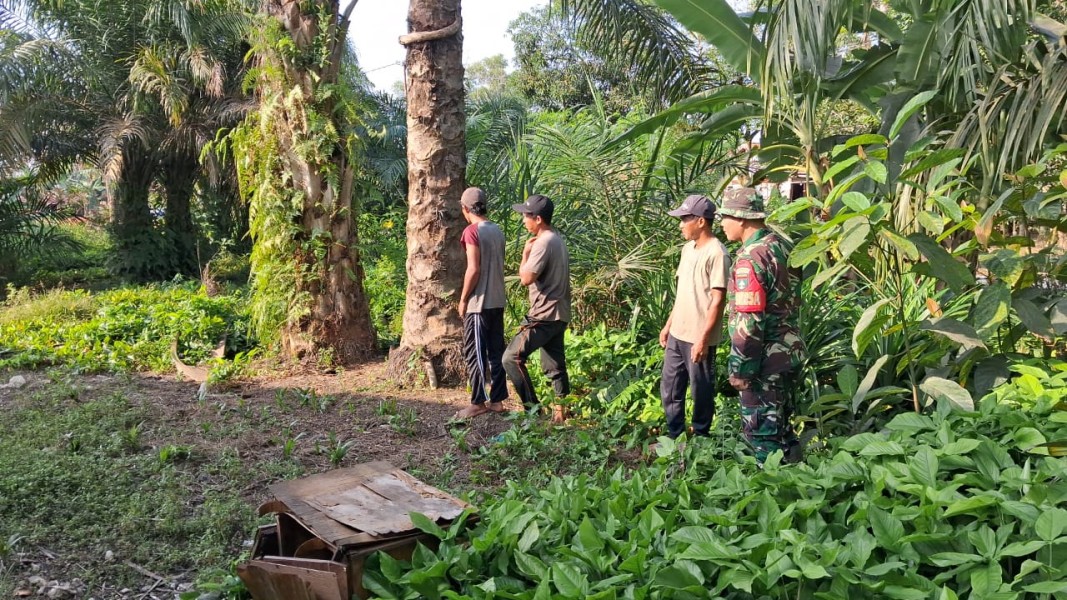 Babinsa Koramil 03/Tpl Gencar Patroli Tapal Batas, Pastikan Nihil Api dan Asap