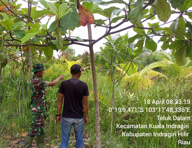 Patroli Karhutla Bersama Babinsa Koramil 04/Kuindra di Wilayah Binaan