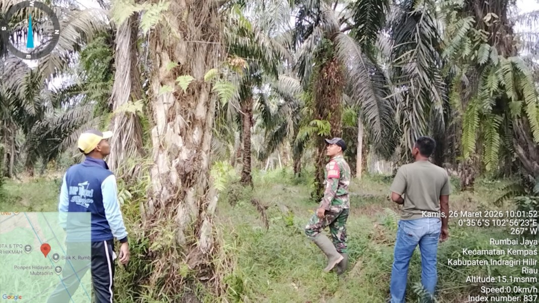Babinsa Koramil 03/Tempiling Rutin Melaksanakan Patroli Tapal Batas Desa Rumbai Jaya