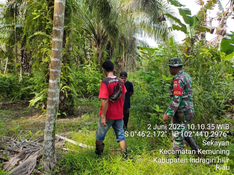 Babinsa Serka M. Ridwan Laksanakan Patroli Karlahut untuk Mencegah Kebakaran Hutan