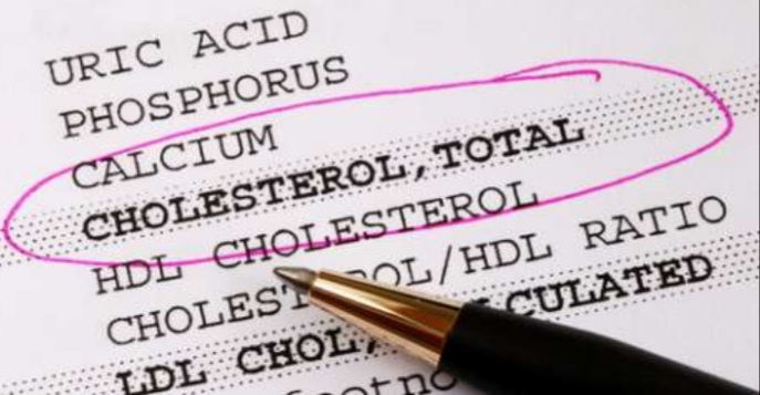 Kontrol Kolesterol Lebaran dengan Labu Siam, ini 5 Manfaatnya, Lihat Disini