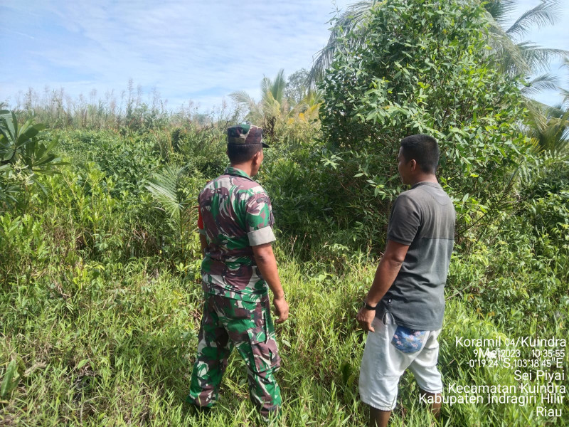 Babinsa Koramil 04/Kuindra Cegah Kebakaran Hutan Bersama Warga di binaan