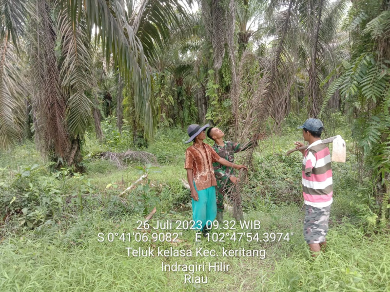 Babinsa Koramil 09/Kemuning Terus Turun Untuk Patroli Karhutla Secara Rutin