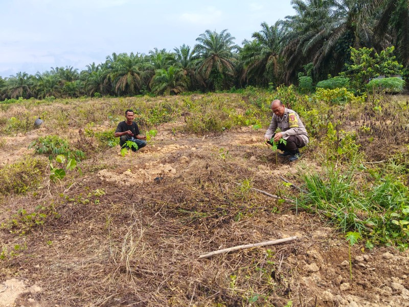 Polri Di Ladang Warga: Aiptu Hermawan Pualam, Kami Kawal, Kami Dampingi, Kami Jaga Hasilnya