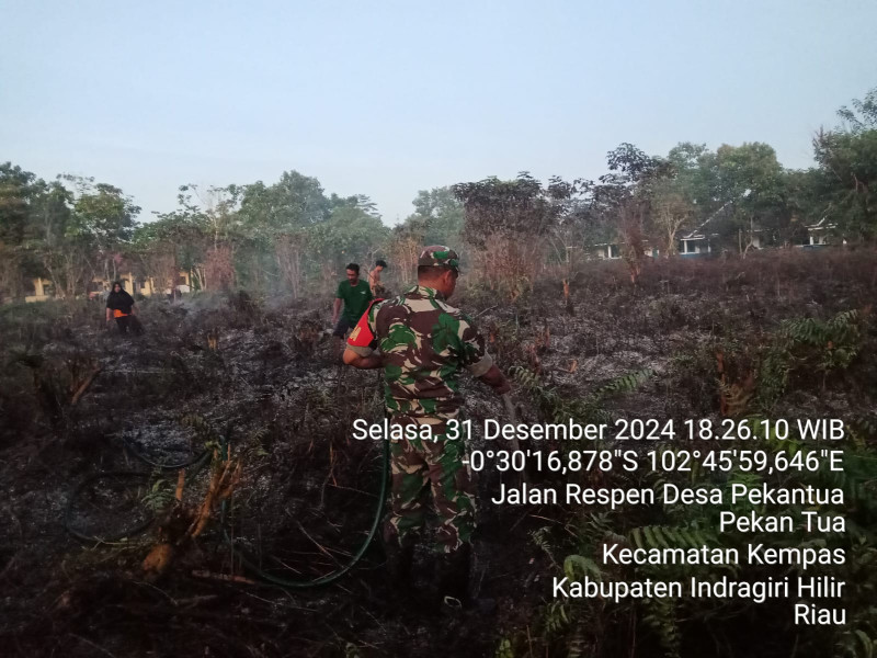 Gerak Cepat Babinsa Serda Riko Saputra  Koramil 03/Tpl Padamkan Kebakaran Lahan Milik SMPN 005 Kempas