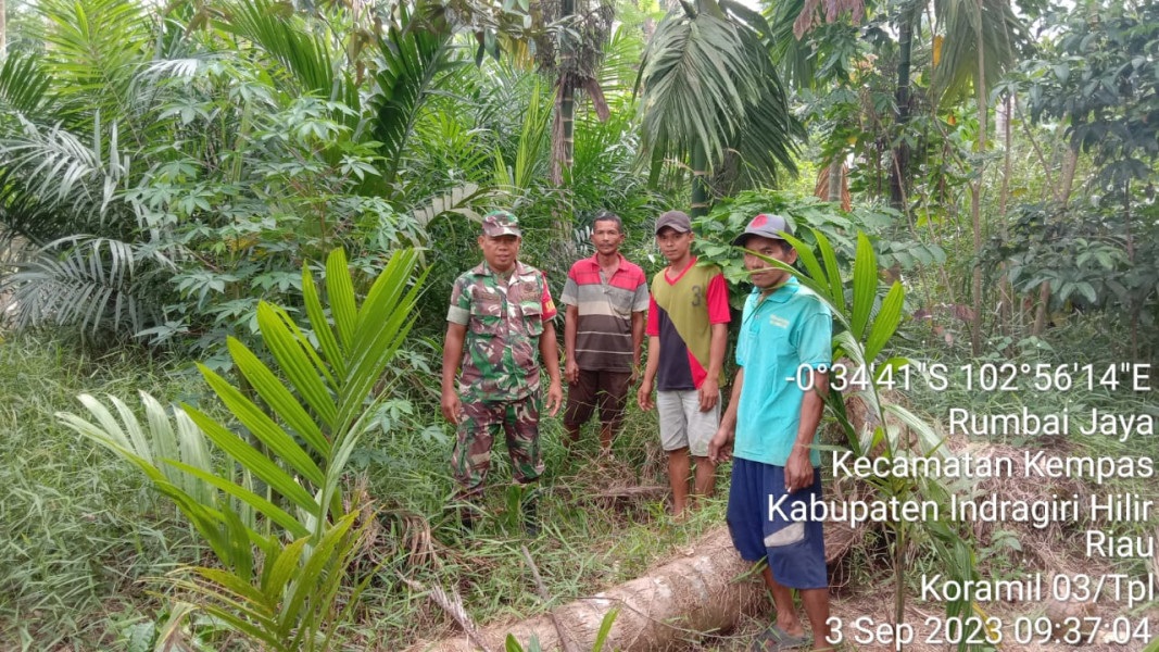 Babinsa 03/Tpl Lakukan Upaya Pencegahan Kebakaran Hutan dan Lahan Dengan Rutin Sosialisasi