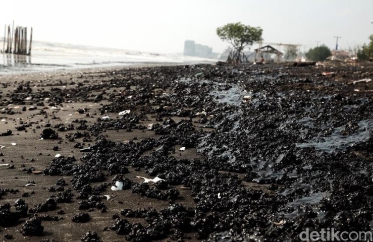 Sejumlah Pantai di Karawang Ditutup Gegara Tercemar Tumpahan Minyak