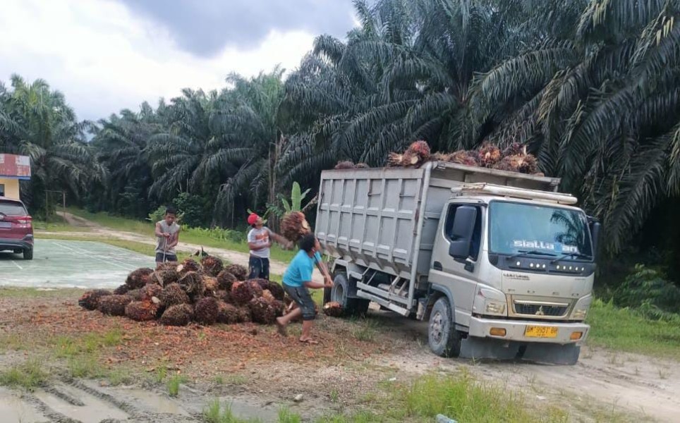 Seret Massa dari Luar Daerah, Hendrik Marbun dkk Dilaporkan atas Dugaan Pencurian dan Pengrusakan