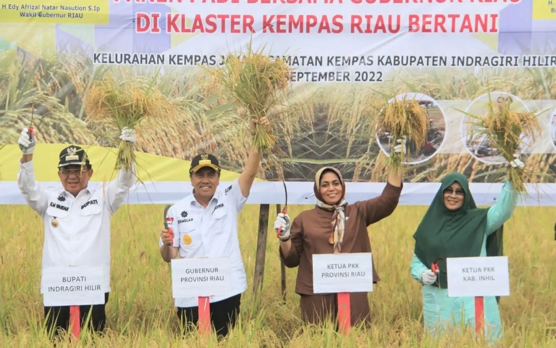 Dukung Program Gubernur Riau, Bupati Perkenalkan Kecamatan Lumbung Padi di Inhil