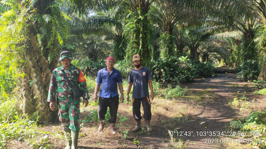 Demi Kesehatan, Babinsa Koramil 10/Pelangiran Terus Pantau Lahan dan Hutan