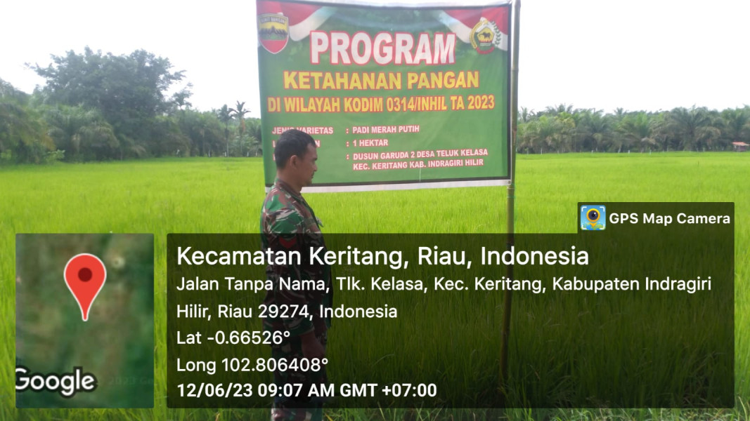 Babinsa Koramil 09/Kemuning Mendukung Ketahanan Pangan Warga