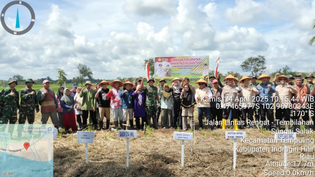 Danramil 03/Tpl Ikuti Gerakan Percepatan Tanam Padi Nusantara, Wujudkan Swasembada Pangan di Provinsi Riau