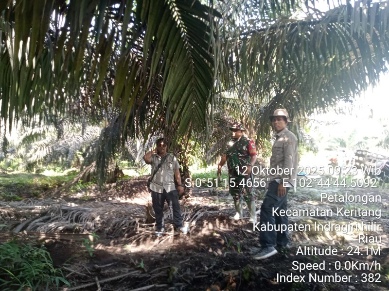 Babinsa Koramil 09/Kemuning Rutin Laksanakan Patroli Tapal Batas di Wilayah Desa Petalongan