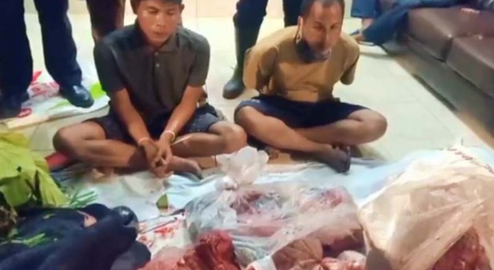 Lagi Asyik Potong Daging Hasil Curian di Hutan, 2 Pria Bersaudara Ini Diciduk Polisi