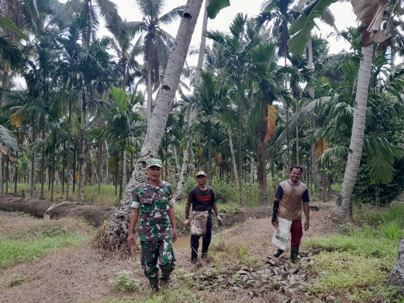 Diparit 5 Madani: Peltu Nofiandi Sisir Tapal Batas, Himbau Warga Reteh Jangan Bakar Lahan