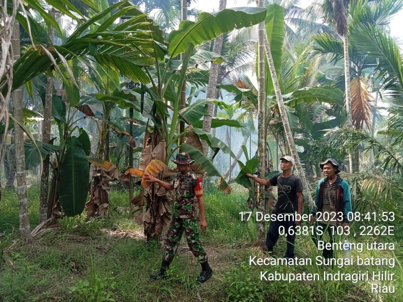 Babinsa Koramil 07/Reteh Berupaya Untuk Mengantispasi Karhutla Di Binaan