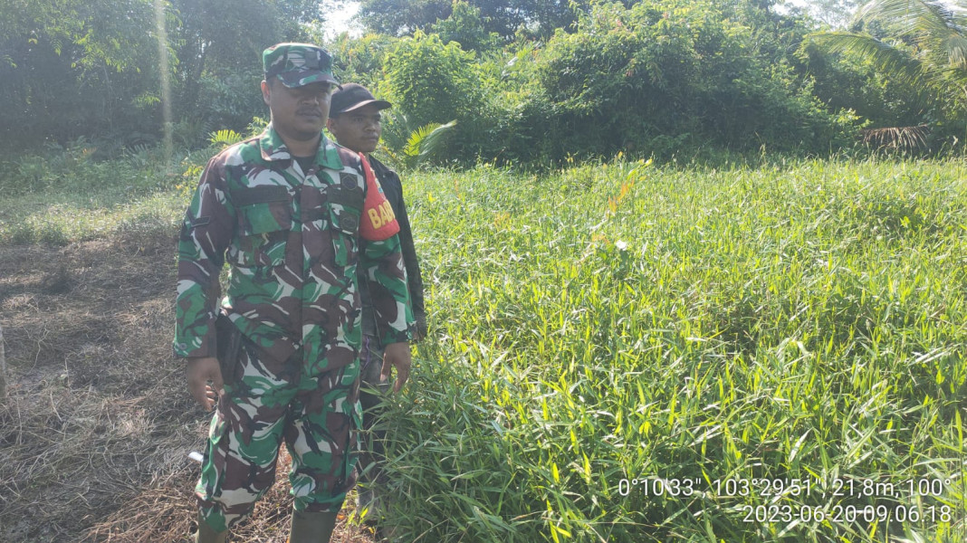 Babinsa Koramil 10/Pelangiran Pantau Lahan dan Hutan Guna Mencegah Kebakaran
