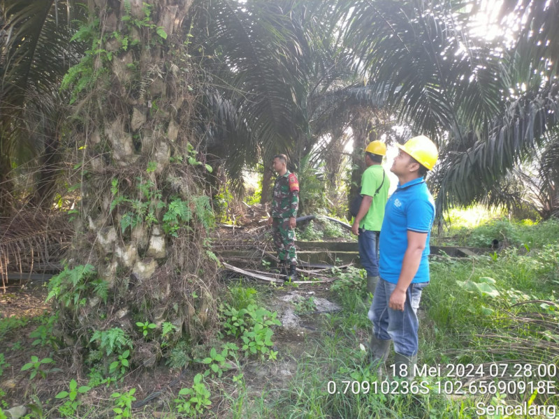 Babinsa Kopda Zakirman Lakukan Upaya Pencegahan Karhutla Bersama Masyarakat