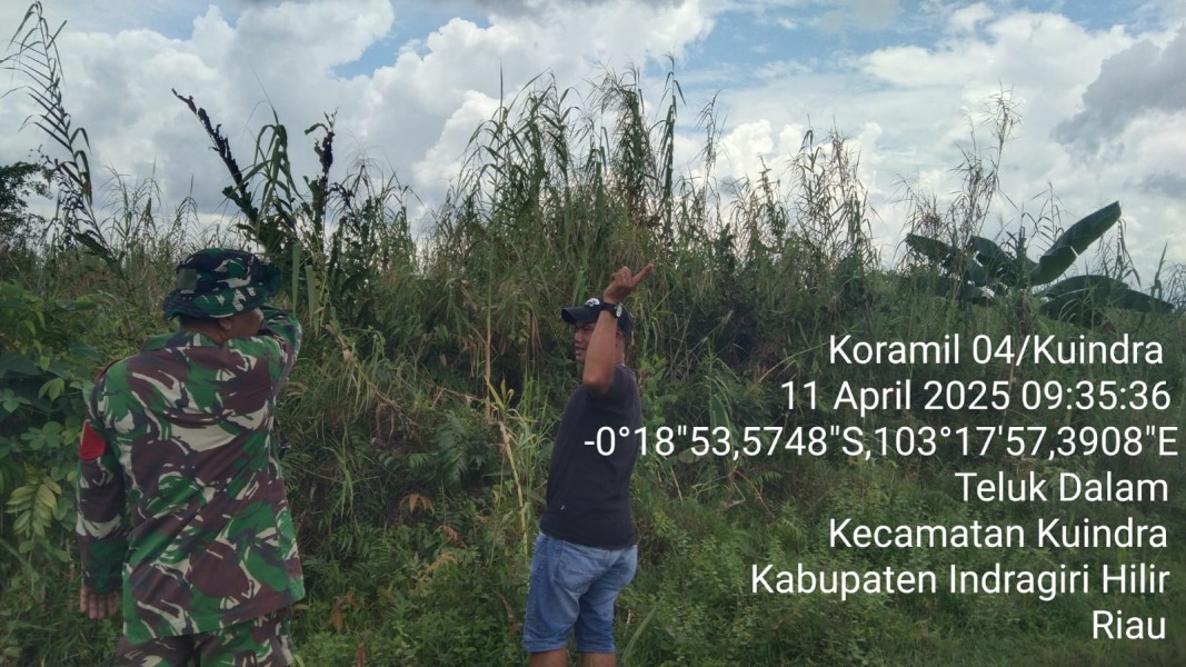 Patroli dan Sosialisasi Karhutla di Parit 10 Desa Teluk Dalam di Lakukan Babinsa Koramil 04/Kuindra