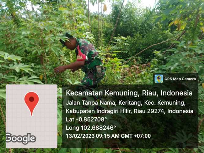 Giat Babinsa Koramil 09/Kemuning Lakukan Pembersihan Gulma di Wilayah