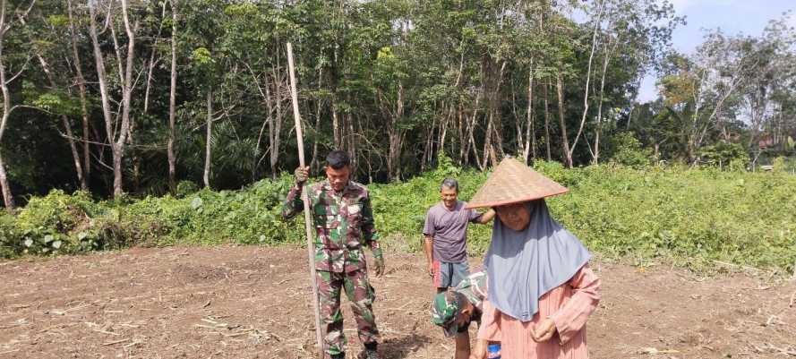 Kopda Adi Supriono Laksanakan Kegiatan Pendampingan Bantu Petani Menanam Jagung