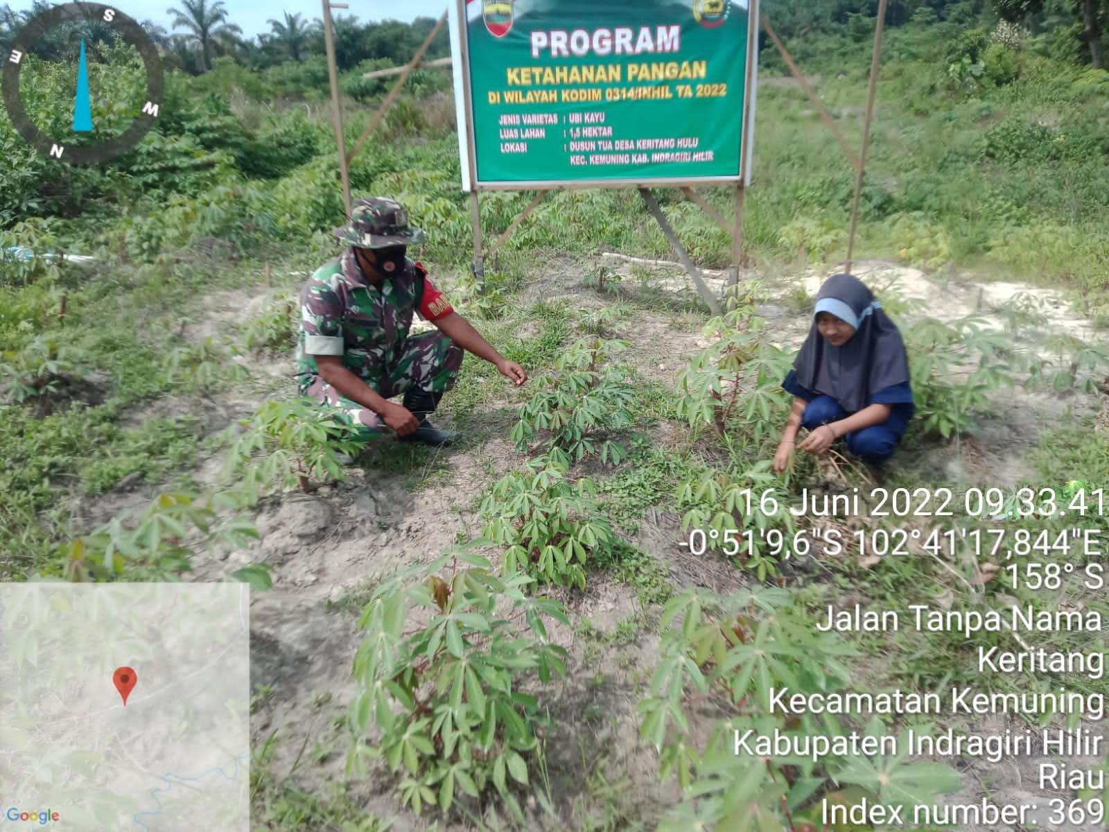 Babinsa Koramil 09/Kemuning Giat Lakukan Kegiatan Ketahanan Pangan di Wilayah Binaan