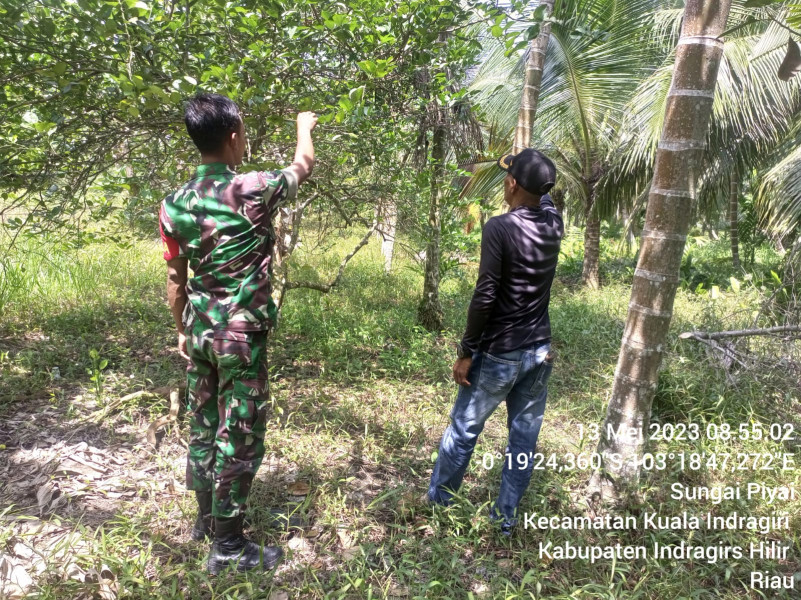 Babinsa Koramil 04/Kuindra Patroli Rutin Terkait Karhutla di Wilayah