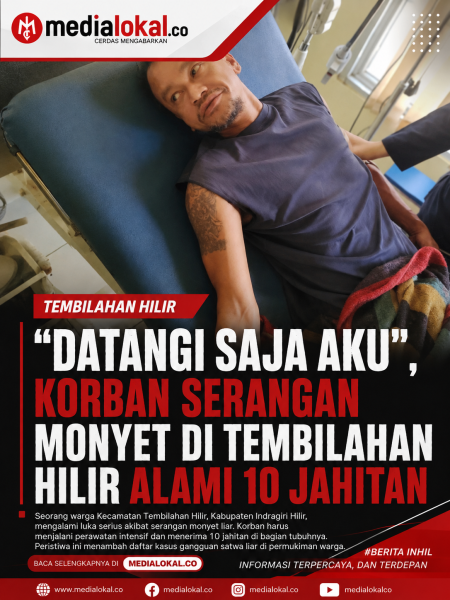 Luka di Kepala dan Tangan, Ini Kisah Sutikno Korban Serangan Monyet Liar di Tembilahan Hilir